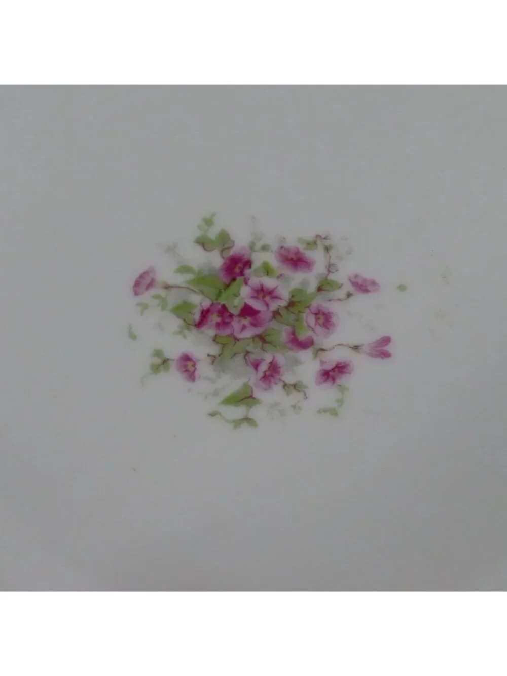 VTG Bassett Limoges 2 Plates 9.6in Pink Floral Flower Swag Chic Austria Chic